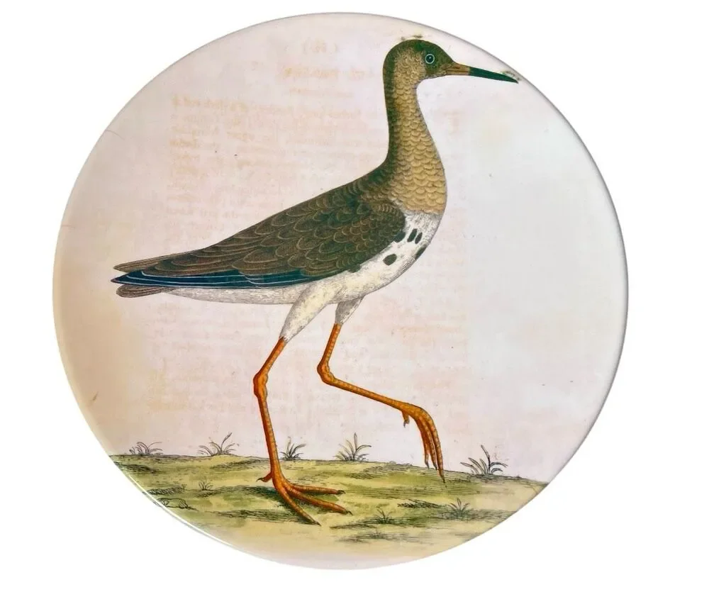 Vintage Z Gallerie Assorted Bird Images Melamine Plates Set Of 4
